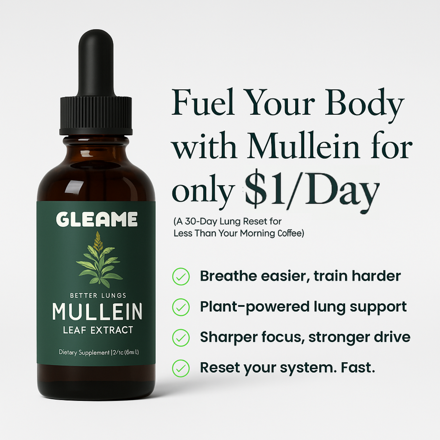 Mullein + Chlorophyll Drops