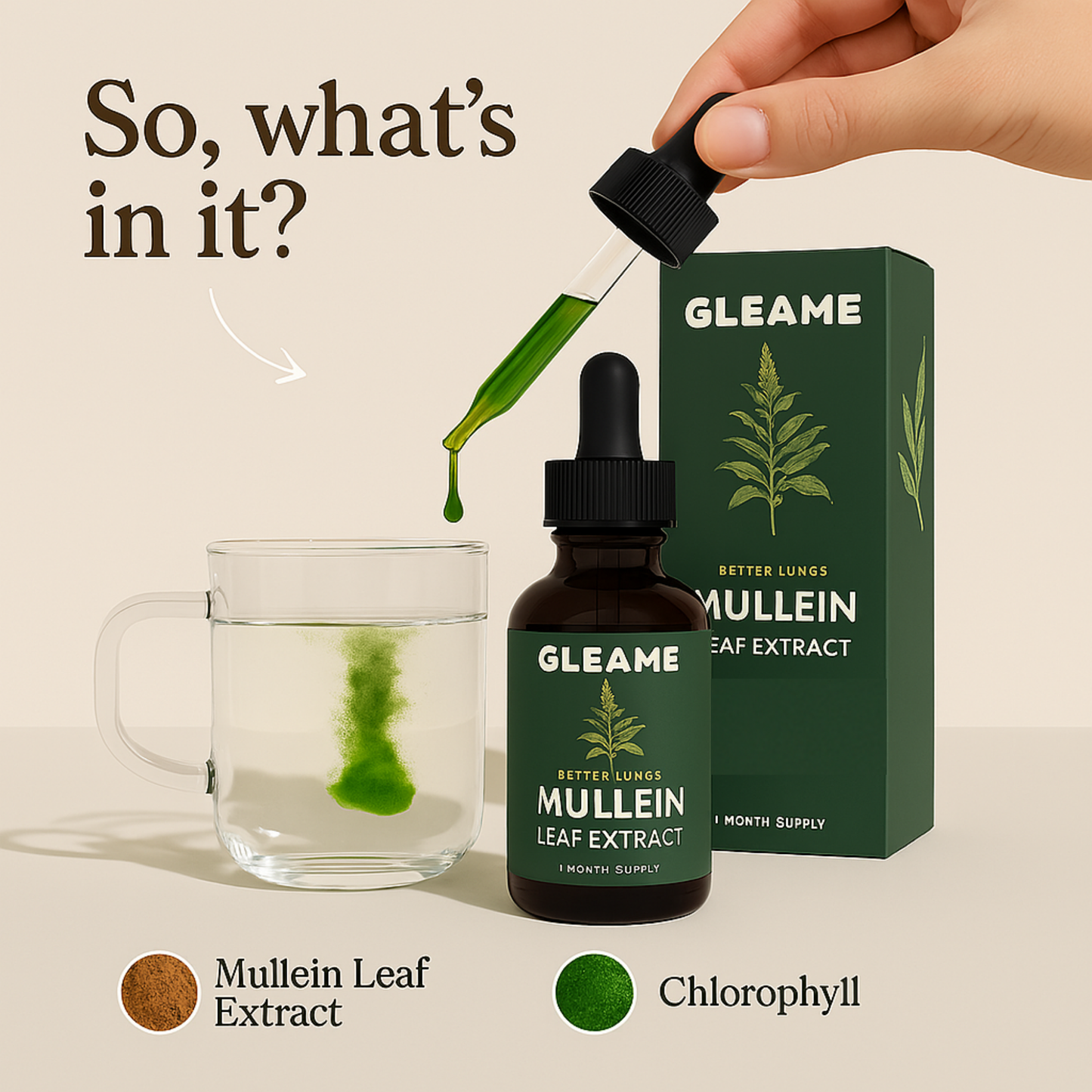 Mullein + Chlorophyll Drops