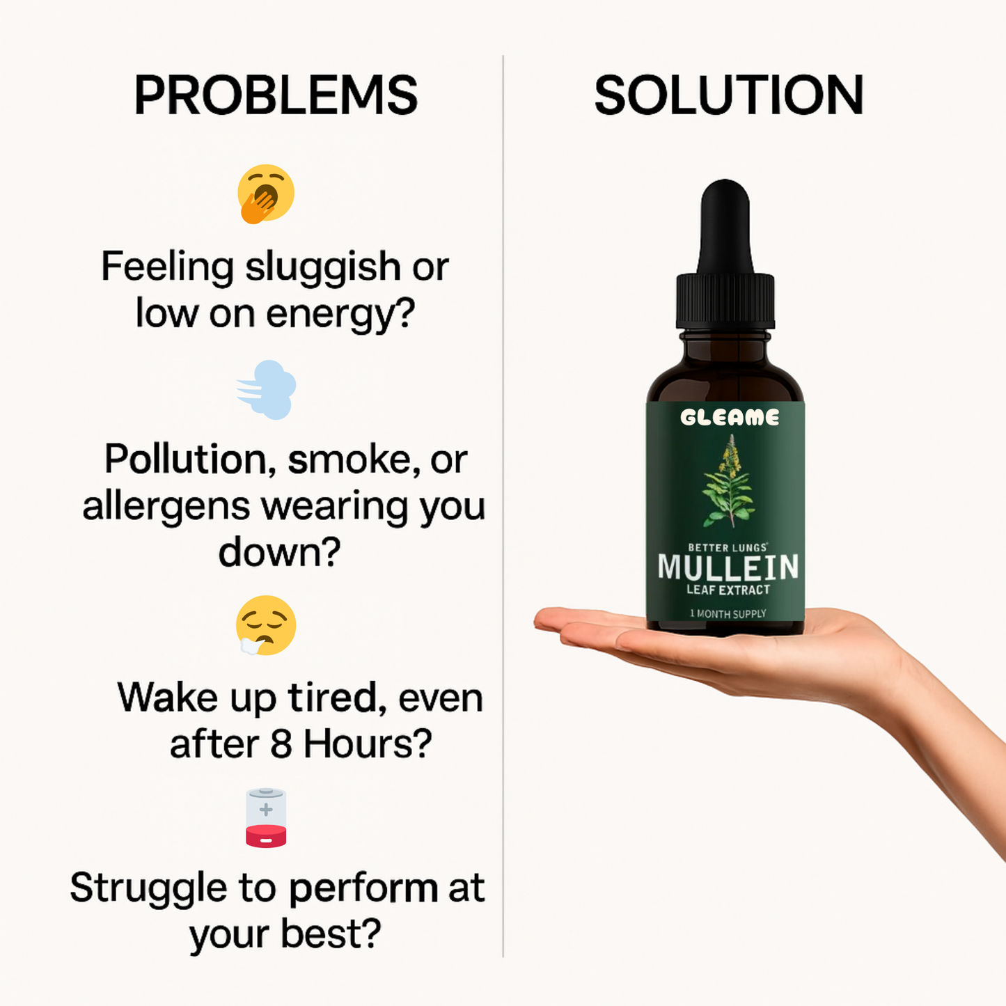 Mullein + Chlorophyll Drops